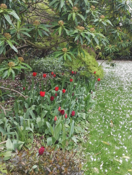 Edwardes Square